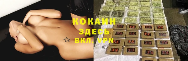 стафф Магадан