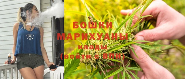 стафф Магадан