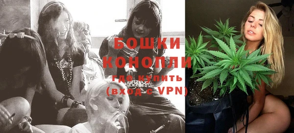 стафф Магадан