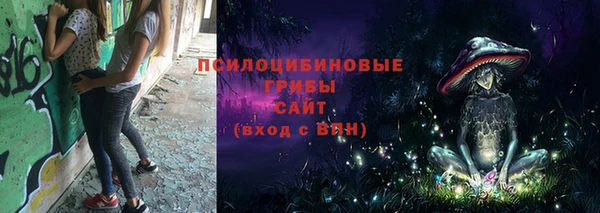 стафф Магадан