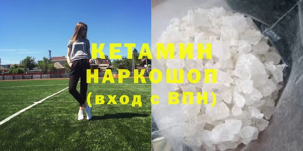 трава Аркадак