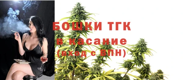 сатива Бердск