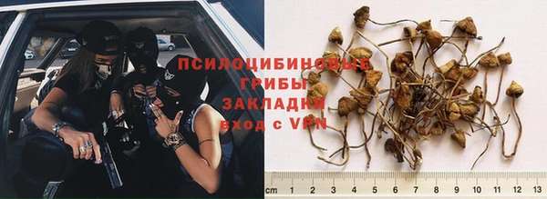 стафф Магадан