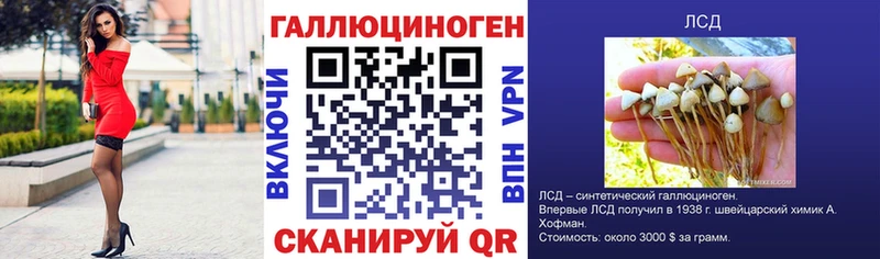 Псилоцибиновые грибы Psilocybine cubensis  Костерёво 